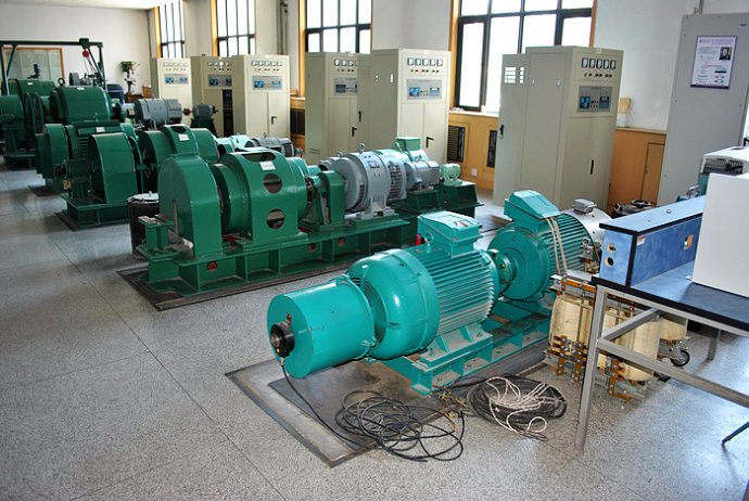 国营东太农场某热电厂使用我厂的YKK高压电机提供动力